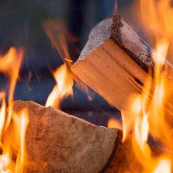 logs for wood burner; kiln dried hardwood logs; ash wood; instant burning firewood