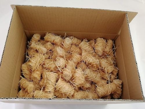 Open box of natural wood wool firelighters